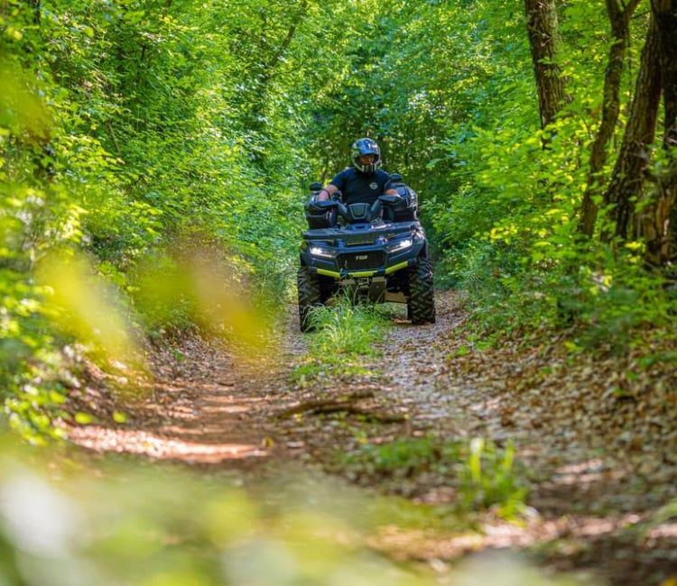 Quad safari - 45. parallel tour, Barban (10)