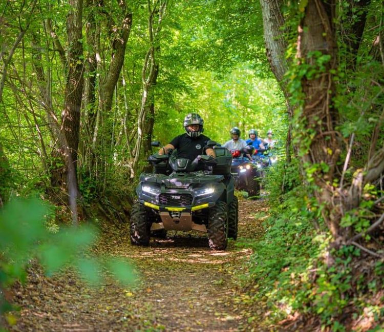 Quad safari - 45. parallel tour, Barban(8)