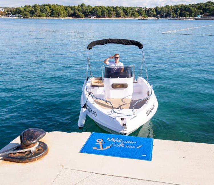 Private family dolphin tour by Rent a boat Poreč (2)