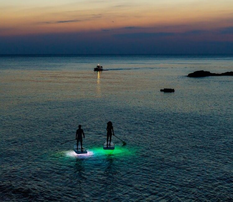 SUP Glow Night tour by Metta Float Outdoor Adventures (2)