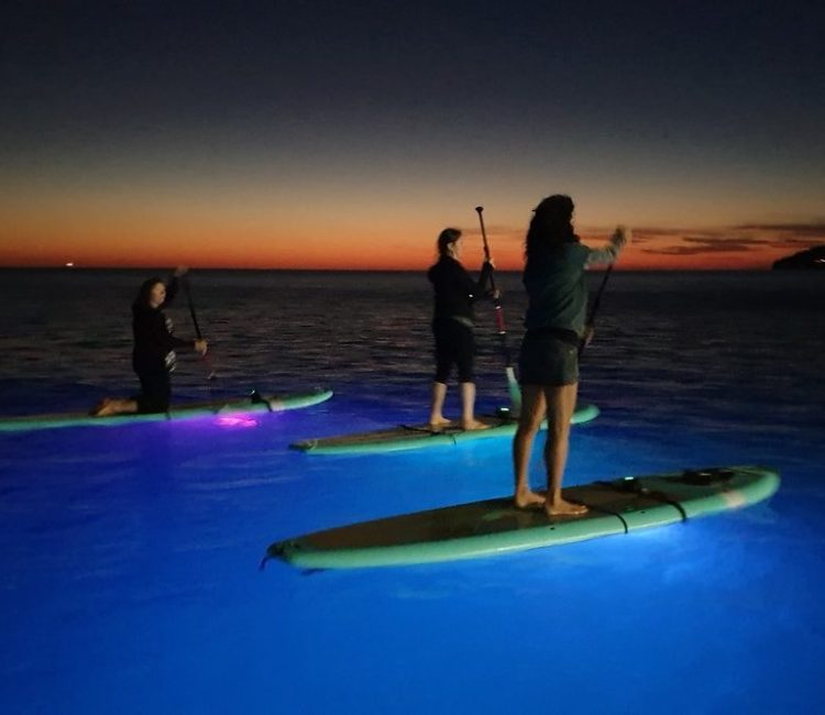 SUP Glow Night tour by Metta Float Outdoor Adventures (3)