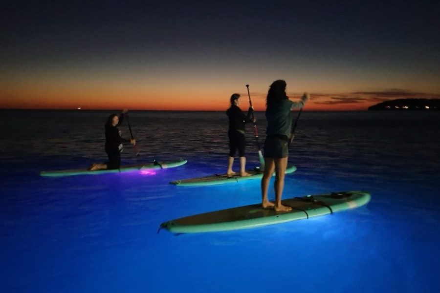 SUP Glow Night tour by Metta Float Outdoor Adventures (3)