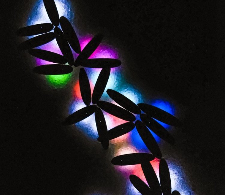 SUP glow night tour by Metta Float Adventures