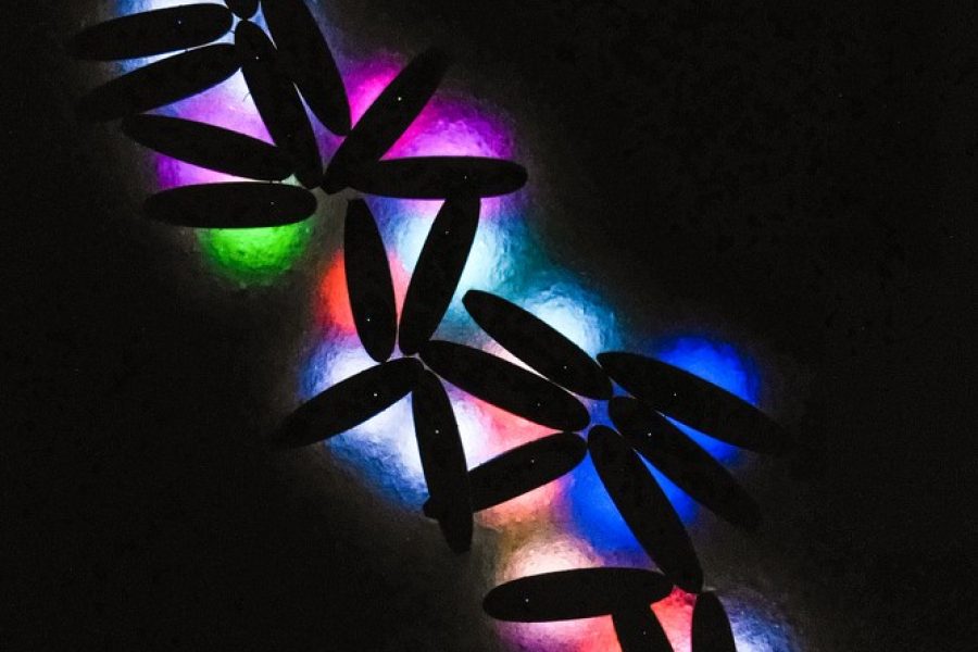 SUP glow night tour by Metta Float Adventures