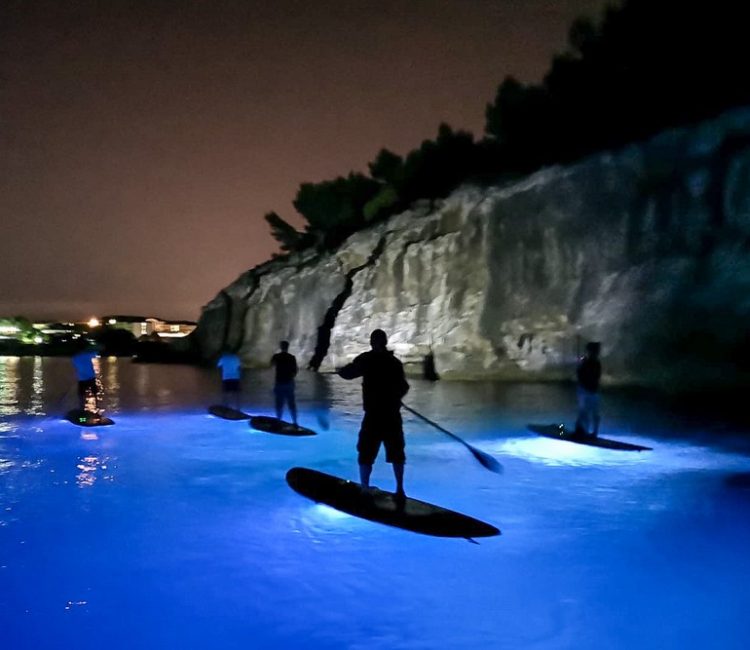 SUP Glow Night tour by Metta Float Outdoor Adventures (5)