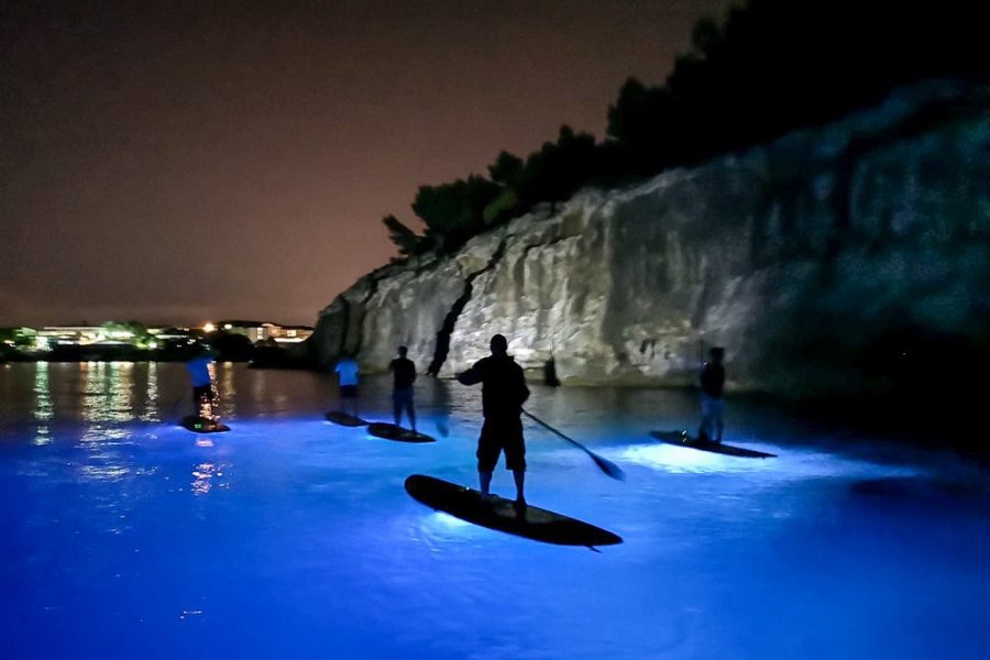 SUP Glow Night tour by Metta Float Outdoor Adventures (5)