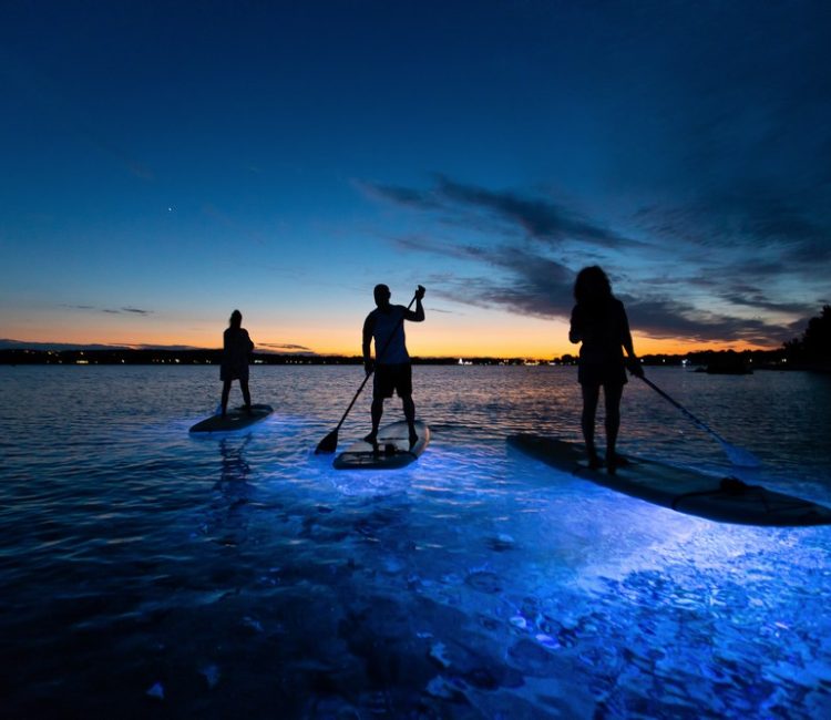 SUP Glow Night tour by Metta Float Outdoor Adventures (6)
