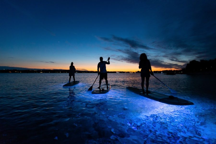 SUP Glow Night tour by Metta Float Outdoor Adventures (6)