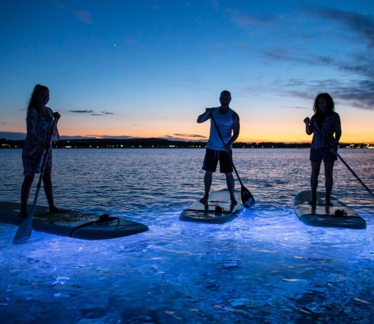 SUP Glow Night tour by Metta Float Outdoor Adventures (7)