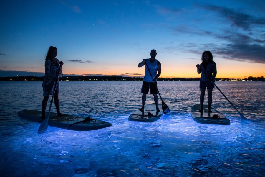 SUP Glow Night tour by Metta Float Outdoor Adventures (7)