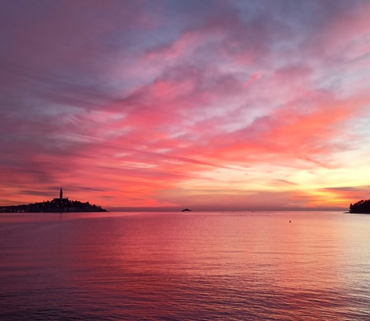 Private Sunset dolphin watching speedboat tour with drinks in Rovinj