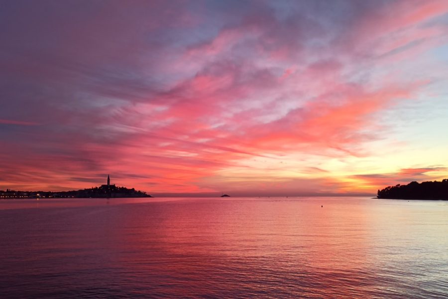 Private Sunset dolphin watching speedboat tour with drinks in Rovinj