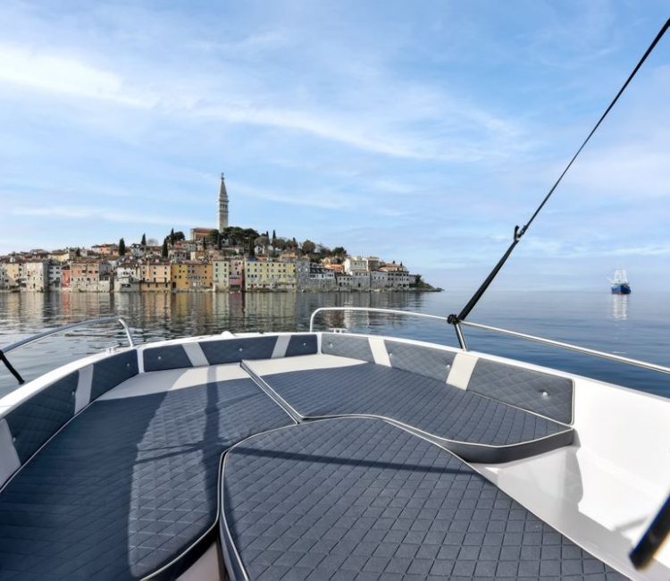 Sunset dolphin watching (2)