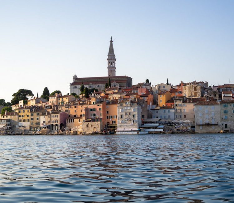 Sunset dolphin watching (6)