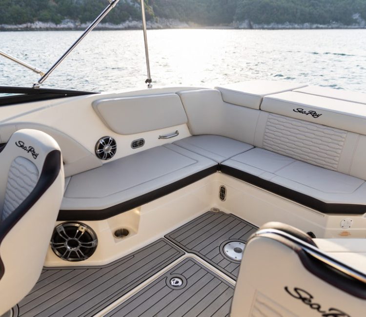 Sunset dolphin watching (9)