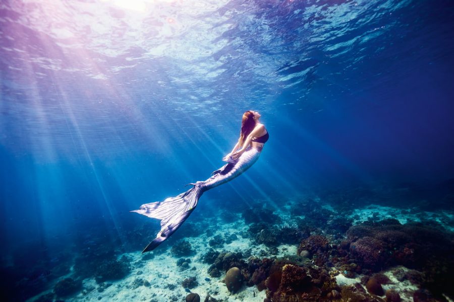 Swim like a mermaid, diving course