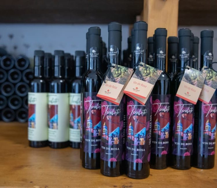 Teraboto wine & olive oil guided tasting in Vodnjan (1)