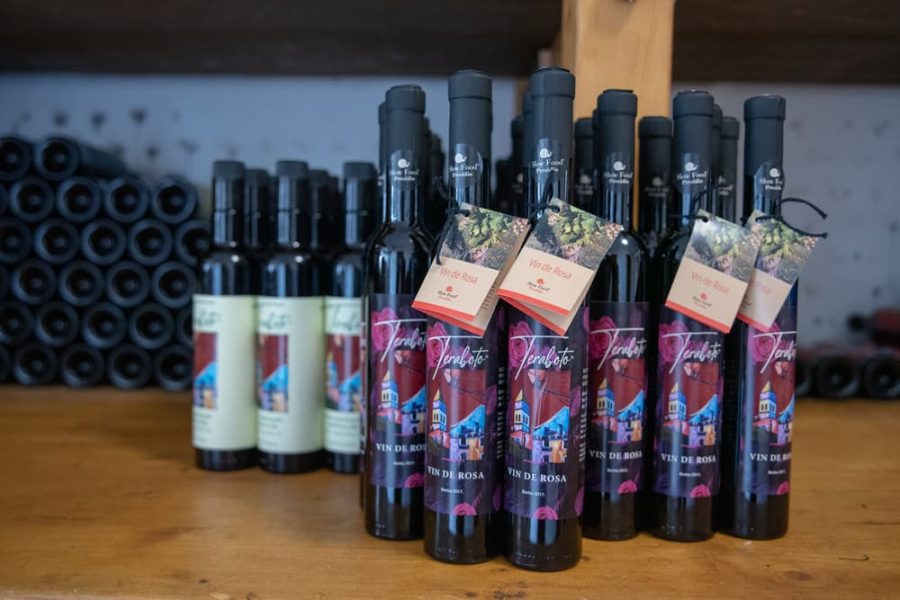 Teraboto wine & olive oil guided tasting in Vodnjan (1)