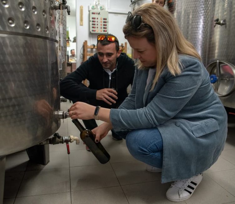 Teraboto wine & olive oil guided tasting in Vodnjan (2)