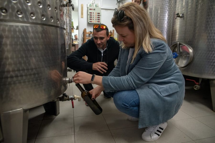 Teraboto wine & olive oil guided tasting in Vodnjan (2)