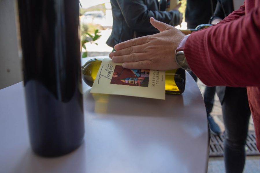 Teraboto wine & olive oil guided tasting in Vodnjan (6)