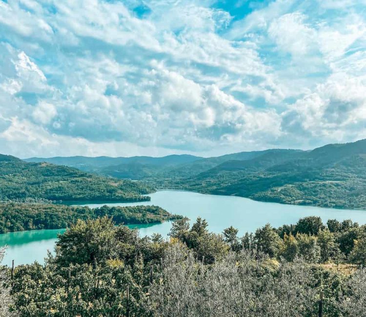 Truffle hunting tour and degustation experience (1)