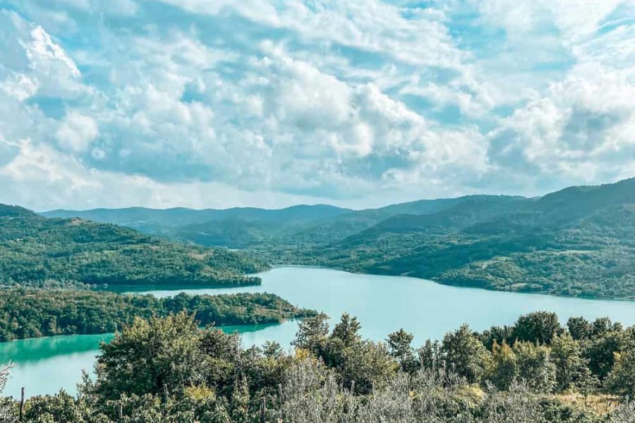 Truffle hunting tour and degustation experience (1)