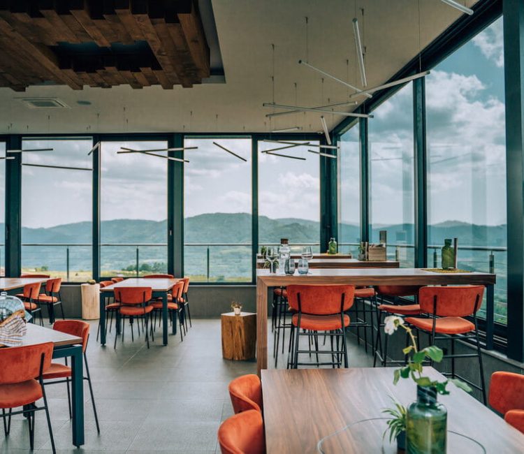 Truffle hunting tour and degustation experience (11)