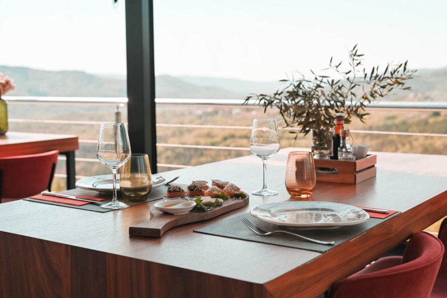 Truffle hunting tour and degustation experience (3)