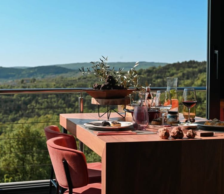 Truffle hunting tour and degustation experience (4)