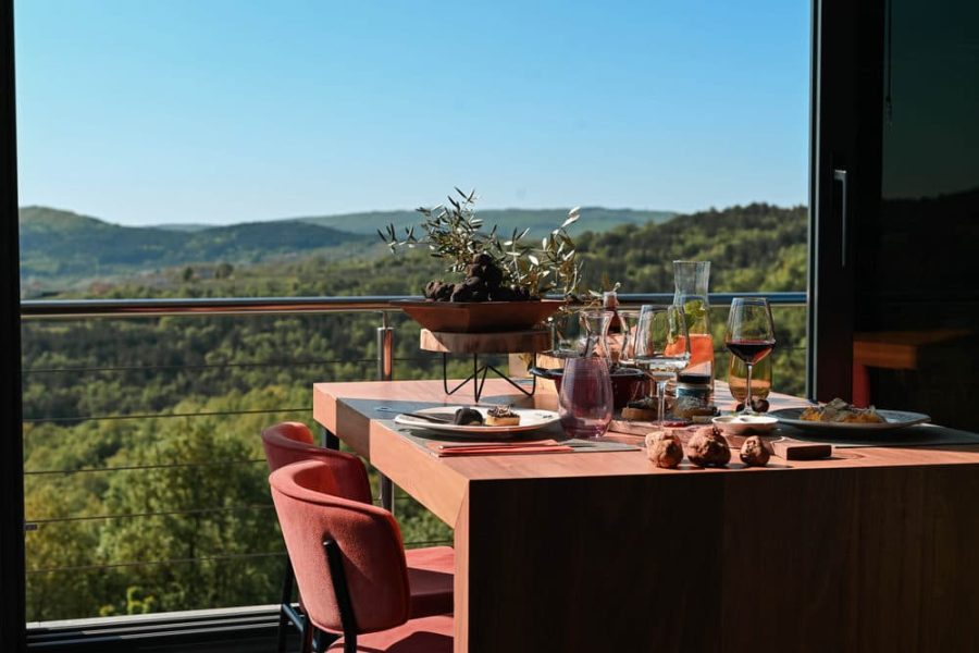 Truffle hunting tour and degustation experience (4)