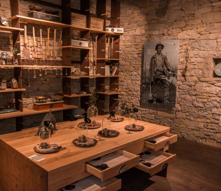 Truffle hunting tour and degustation experience (7)