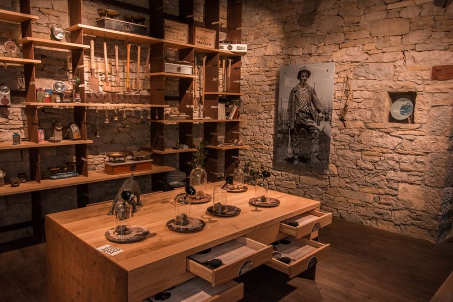 Truffle hunting tour and degustation experience (7)