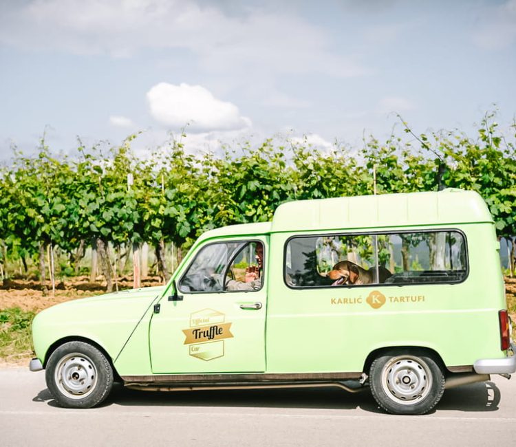 Truffle hunting tour and degustation experience (9)