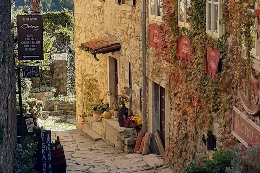 Unknown Istria and the Smallest City Tour (1)