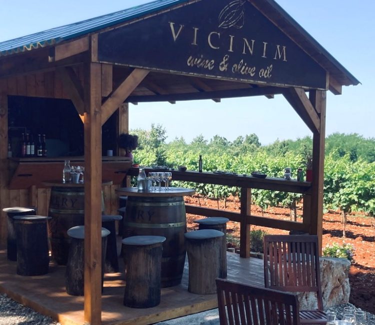 Vicinim wine tasting & walk to Big bench #296 Deklevi (1)