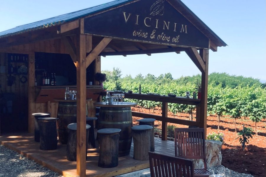 Vicinim wine tasting & walk to Big bench #296 Deklevi (1)