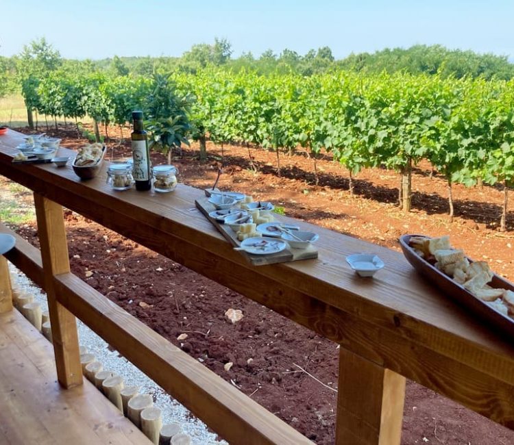 Vicinim wine tasting & walk to Big bench #296 Deklevi (11)