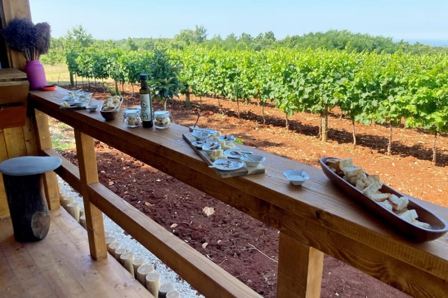 Vicinim wine tasting & walk to Big bench #296 Deklevi (11)