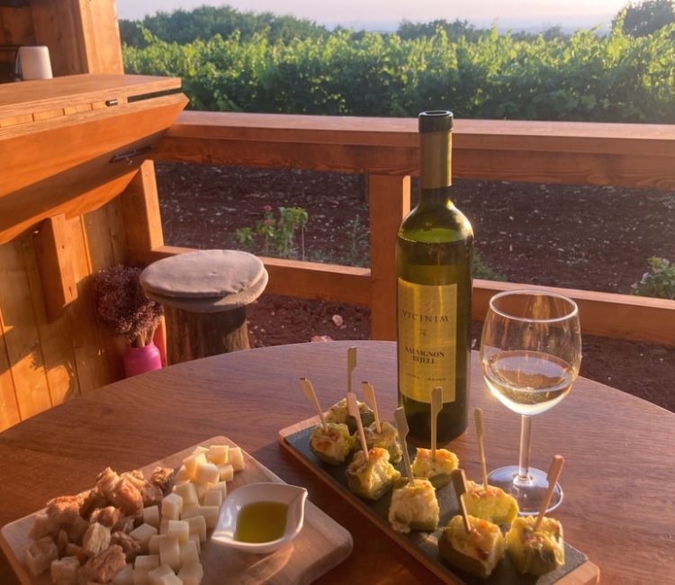 Vicinim wine tasting & walk to Big bench #296 Deklevi (2)