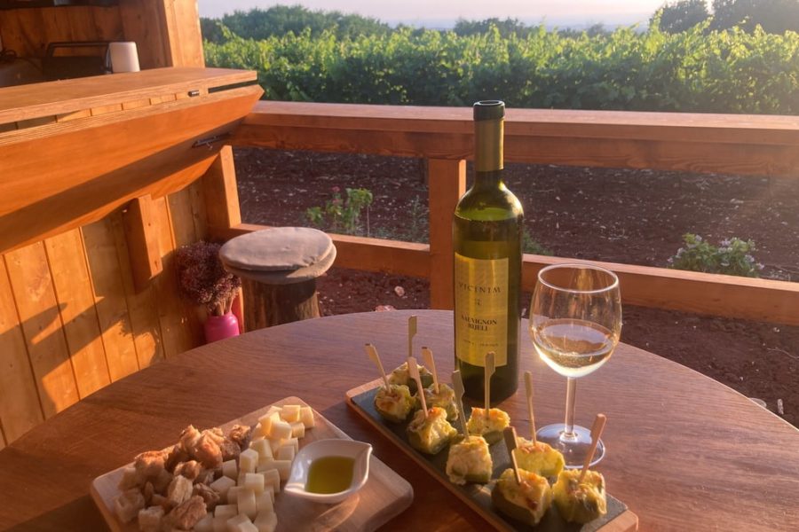 Vicinim wine tasting & walk to Big bench #296 Deklevi (2)