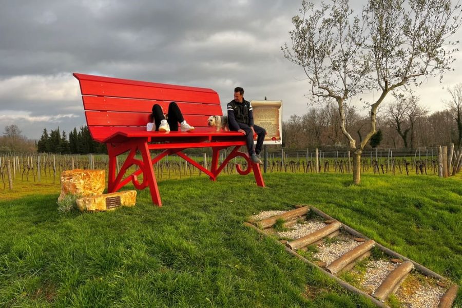 Vicinim wine tasting & walk to Big bench #296 Deklevi (5)