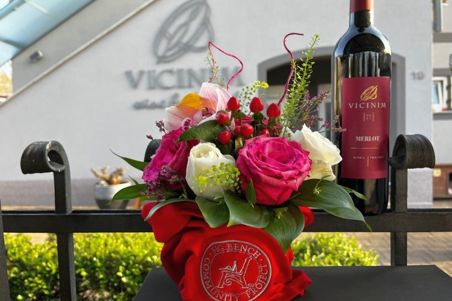 Vicinim wine tasting & walk to Big bench #296 Deklevi