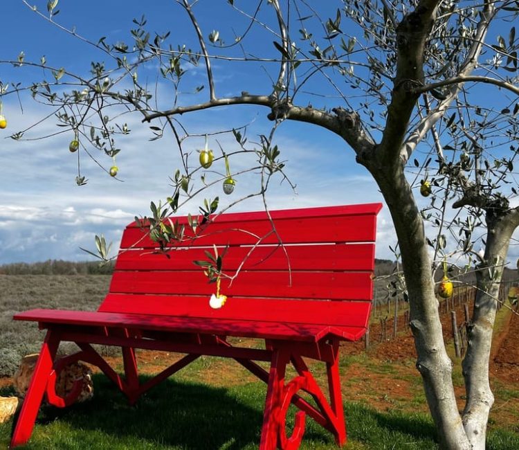 Vicinim wine tasting & walk to Big bench #296 Deklevi (8)