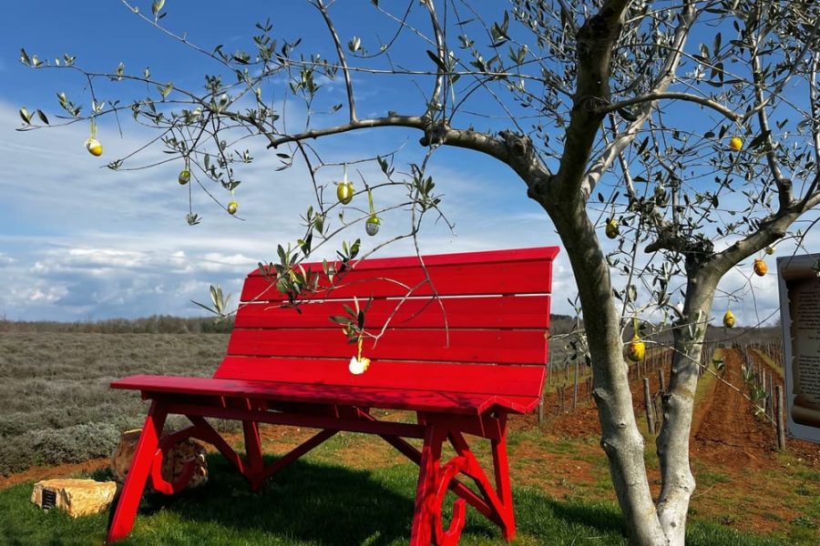 Vicinim wine tasting & walk to Big bench #296 Deklevi (8)