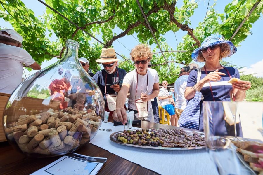 Wine tasting at Ivančić winery - A taste of Istria (9)